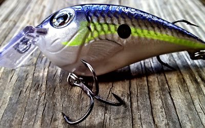 Natural Baits vs. Artificial Lures: Which Should You Use While Fishing?